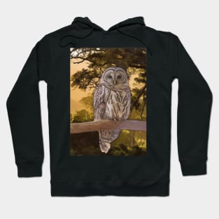 Tawny Owl Artwork Hoodie